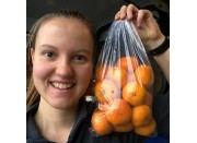 NEW SEASONS SATSUMA MANDARINS 1KG Bag KATIKATI Grown